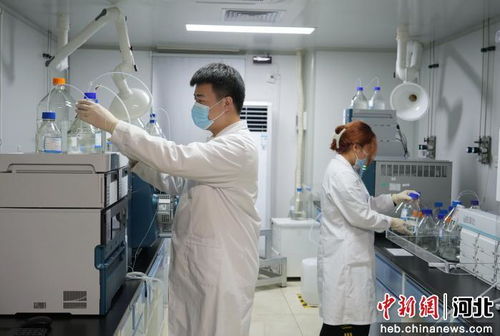 廊坊市積極引進(jìn)京津創(chuàng)新資源，賦能生物醫(yī)藥研發(fā)產(chǎn)業(yè)高質(zhì)量發(fā)展